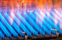 Higher Menadew gas fired boilers